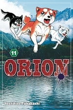 Orion #11