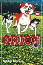 Orion #16