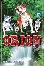 Orion #17