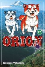 Orion #25