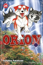 Orion #26
