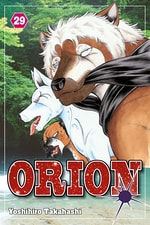 Orion #29