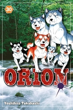 Orion #30