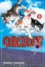 Orion #9