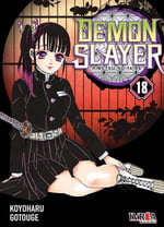 Demon Slayer #18 Demon Slayer #18