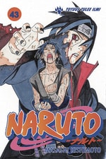 Naruto #43