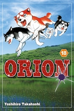 Orion #18